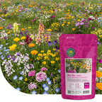 Mélange de fleurs faible pour abeilles – annuelles et vivaces