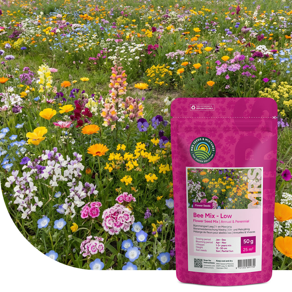 Mélange de fleurs faible pour abeilles – annuelles et vivaces