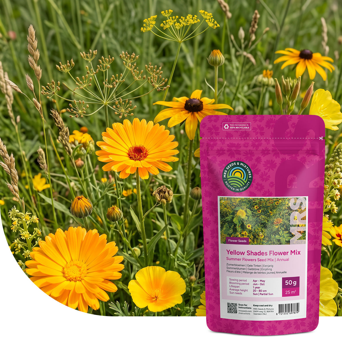Fleurs d'été – Mélange de teintes jaunes