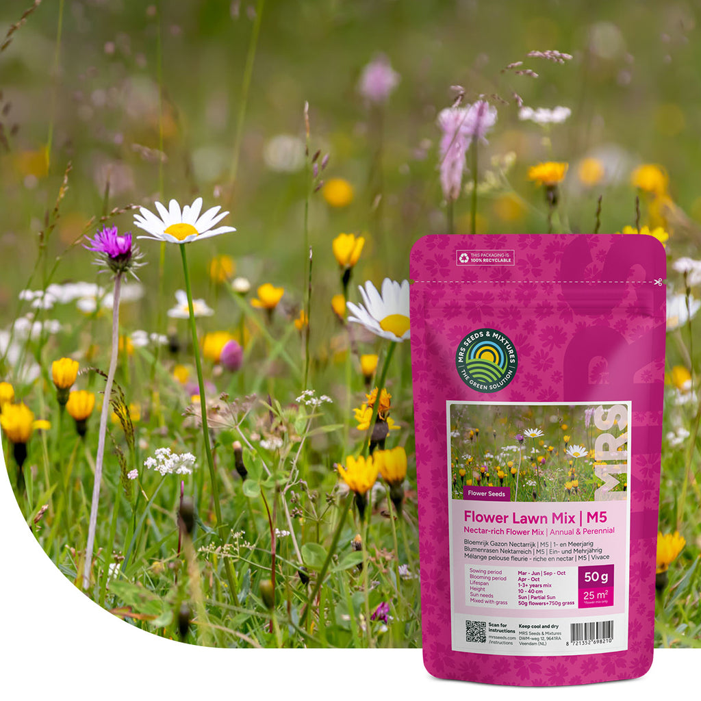 Type M5 – Mélange pelouse fleurie – riche en nectar