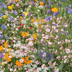 Mélange de fleurs – pelouse de fleurs japonaises