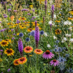 Mélange de fleurs d'automne