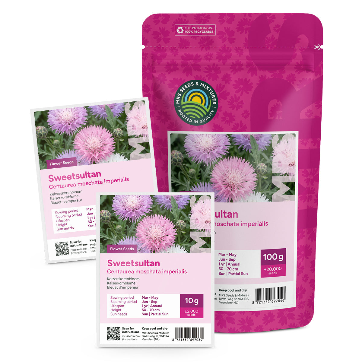 Bleuet d'empereur – Centaurea moschata imperialis