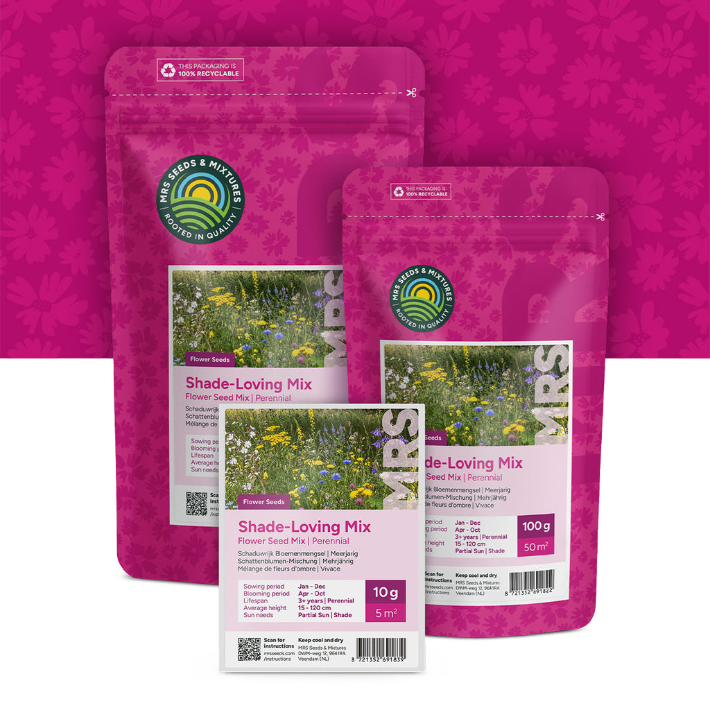 Mélange de fleurs d'ombre – vivaces