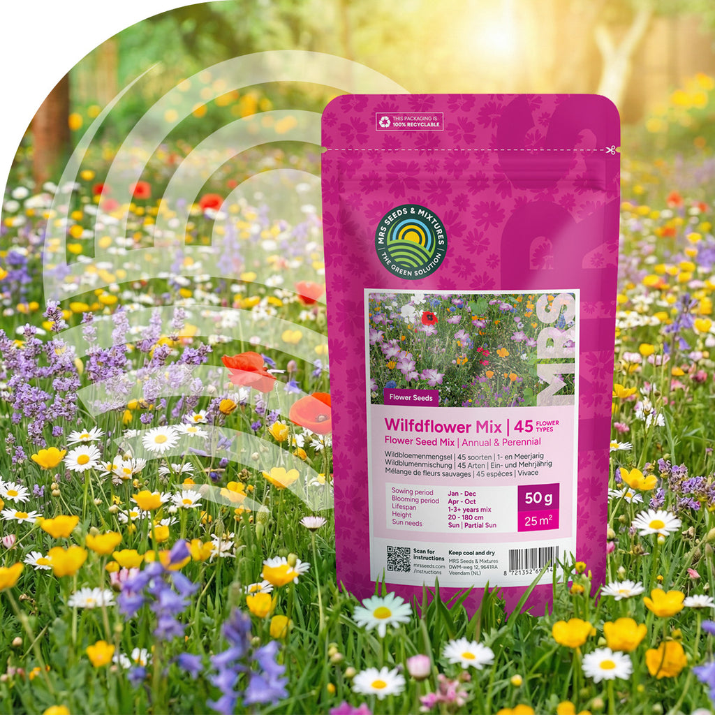 Mélange de fleurs sauvages annuelles et vivaces – 45 espèces