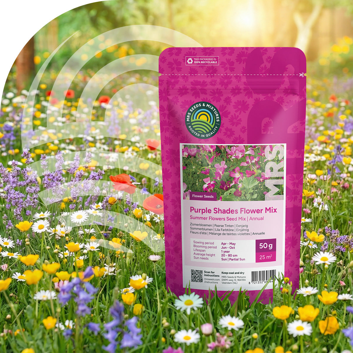 Fleurs d'été – Mélange de teintes violettes