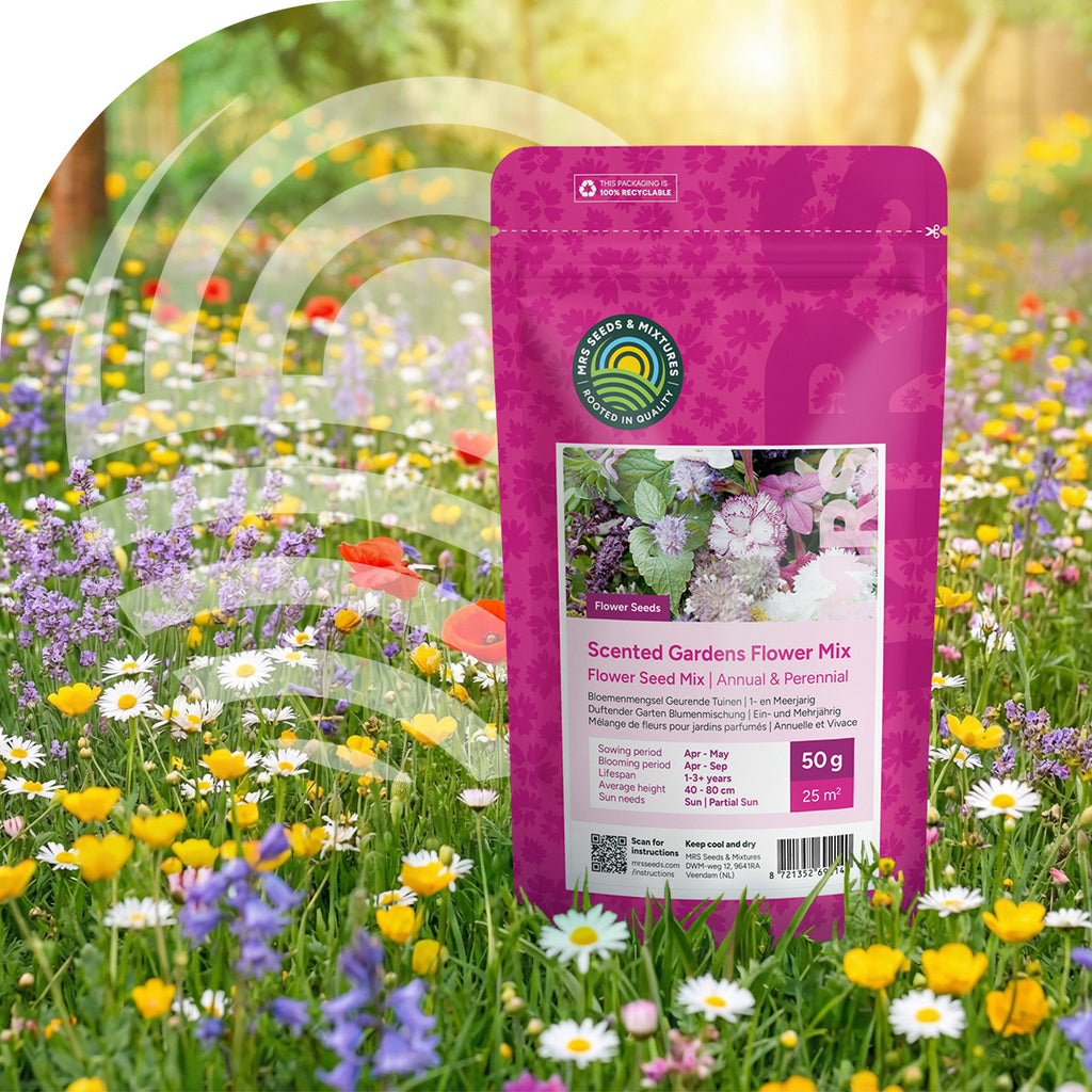 Mélange de fleurs de jardins parfumés – annuelles et vivaces