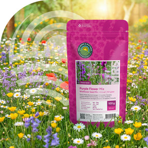 Mélange de fleurs sauvages pourpres – 14 espèces