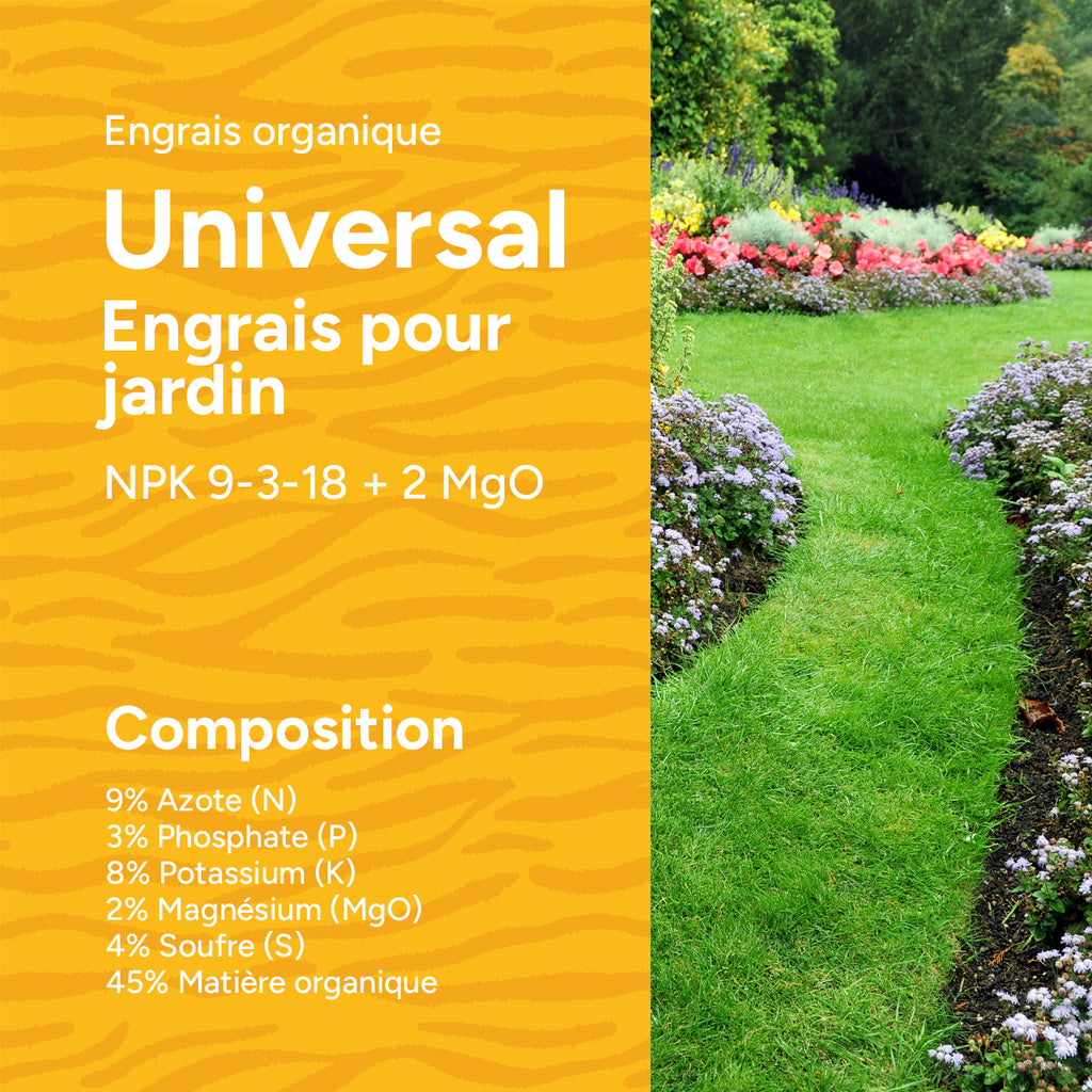 MRS-Seeds-FR-2-composition [fr]
