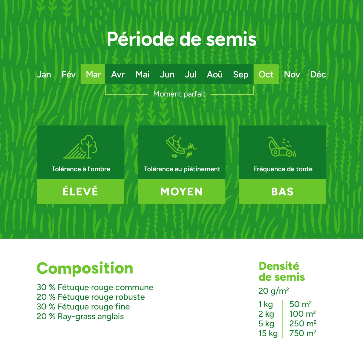 MRS-Seeds-FR-3-Composition [fr]