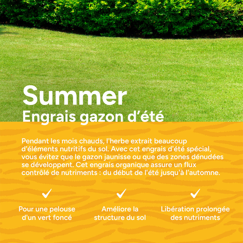 MRS Seeds & Mixtures Summer - Engrais organique pour gazon d'été | 18 kg - 360 m² [fr]