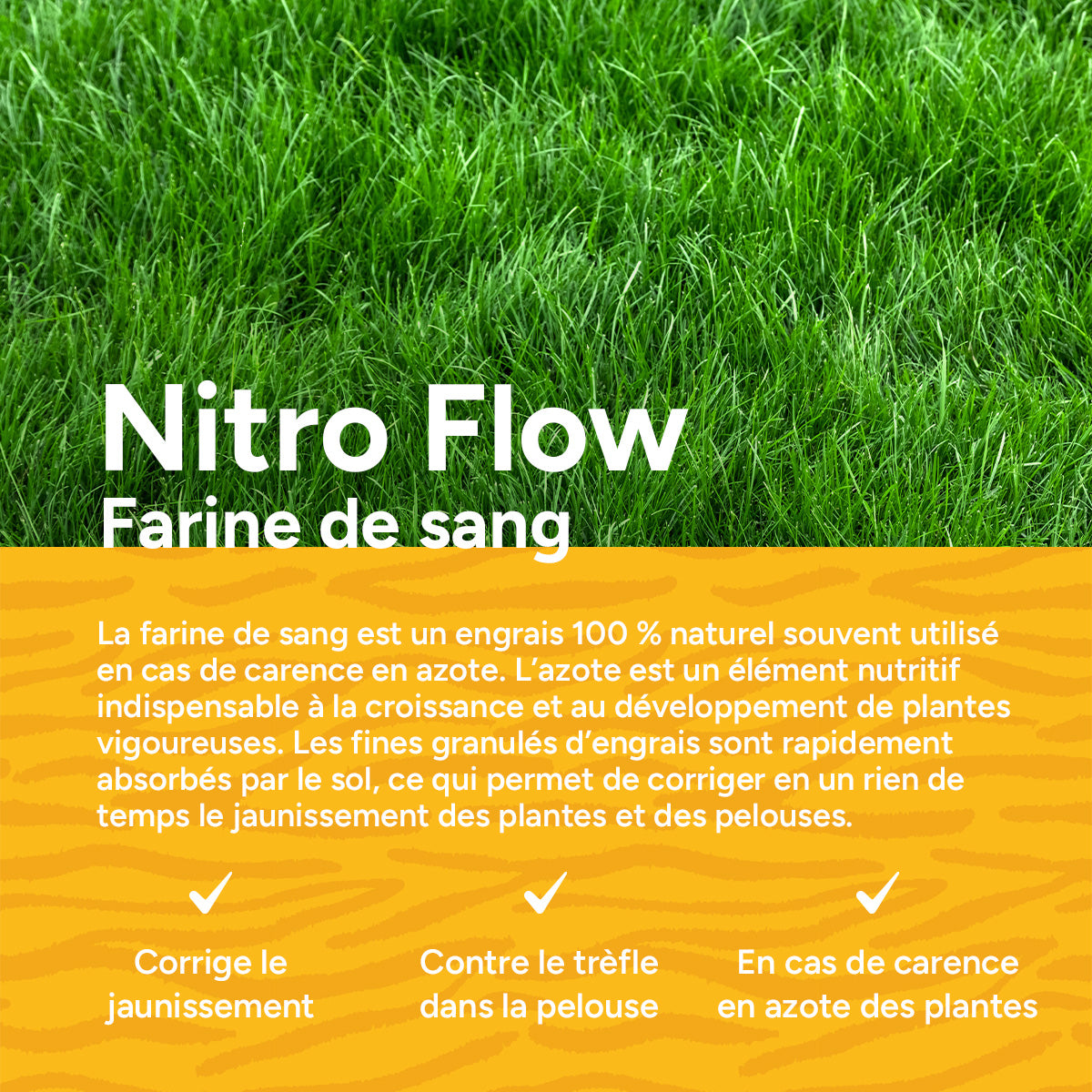 MRS Seeds & Mixtures Nitro Flow - Farine de sang | 18 kg - 360 m² [fr]