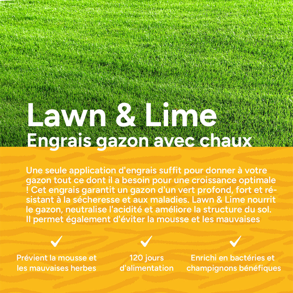 MRS Seeds & Mixtures Lawn & Lime - Engrais organique gazon avec chaux | 18 kg - 225 m² [fr]