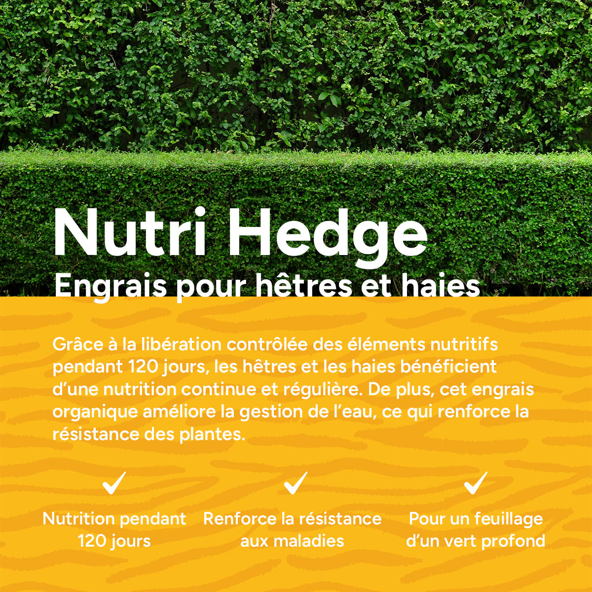 MRS Seeds & Mixtures Nutri Hedge - Engrais organique pour hêtres et haies - 18 kg [fr]