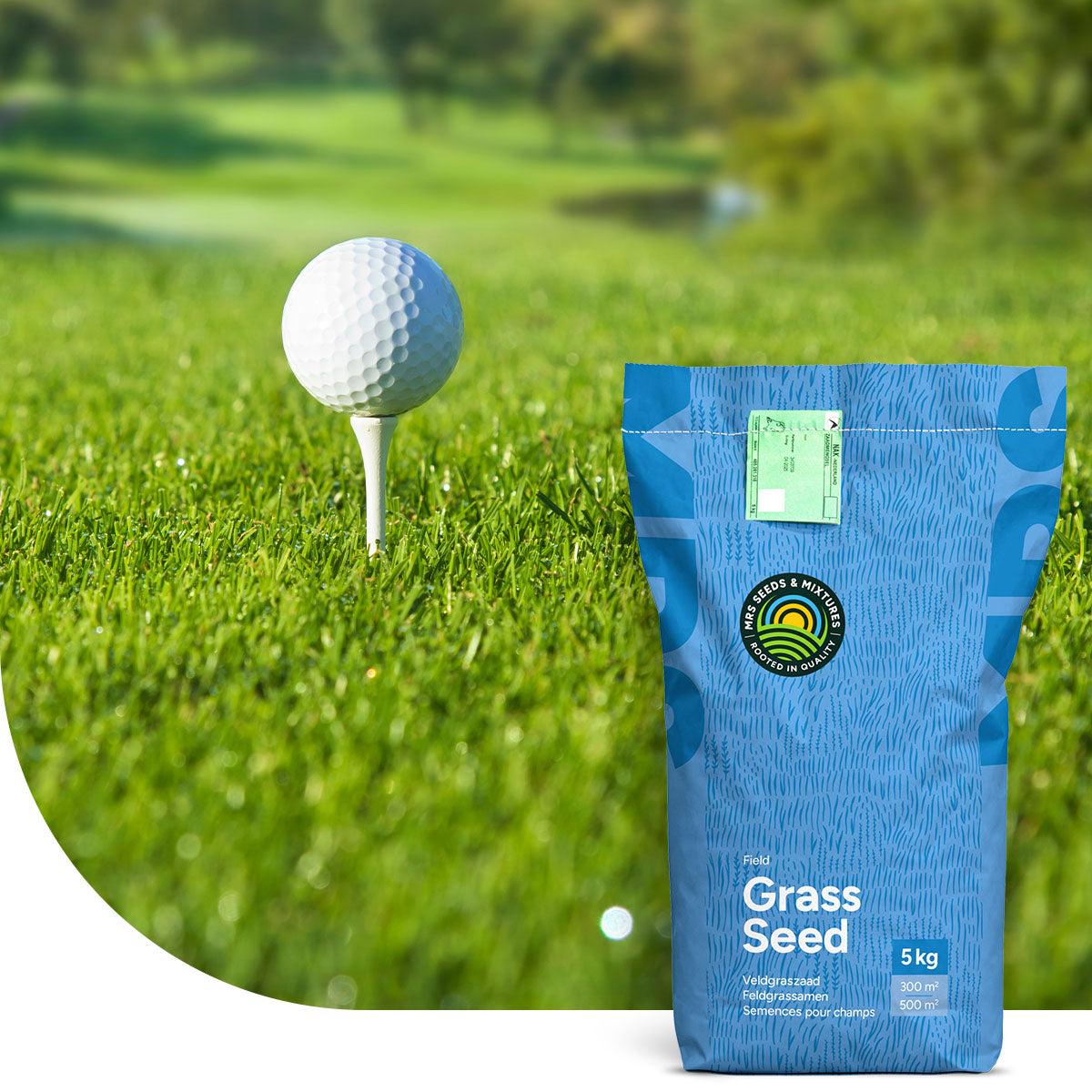 Gazon de golf pour fairways et semi-roughs