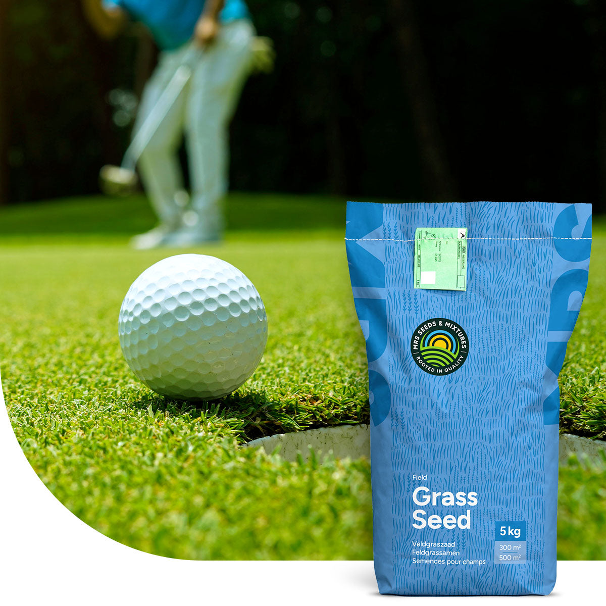 Semences de gazon pour greens de golf