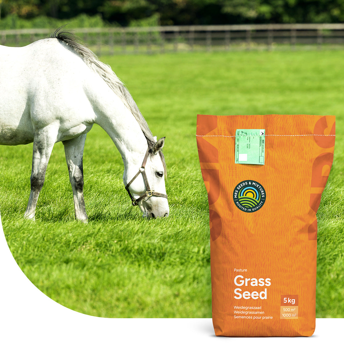 Horse – Elite mix | Prairie pour chevaux et petit bétail