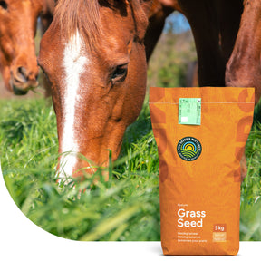 Horse – Recovery mix | Pâturage de chevaux pour sursemé