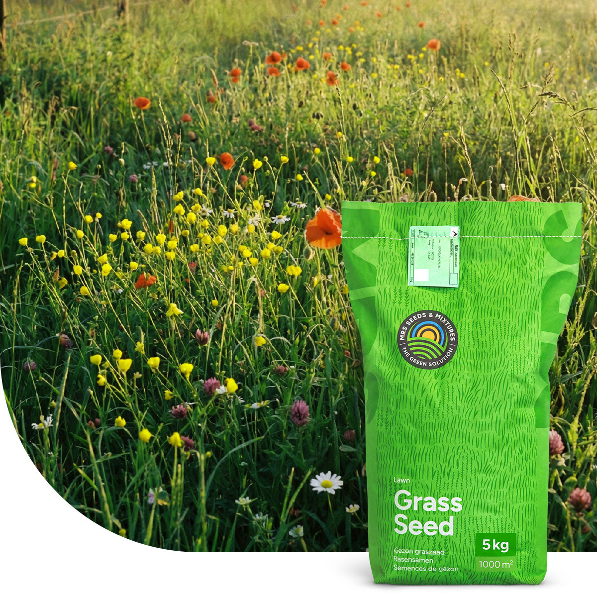 Flower Field – Semences de gazon avec fleurs
