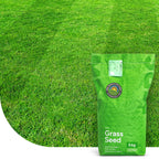 EasyMow – Semences de gazon | Peu d'entretien