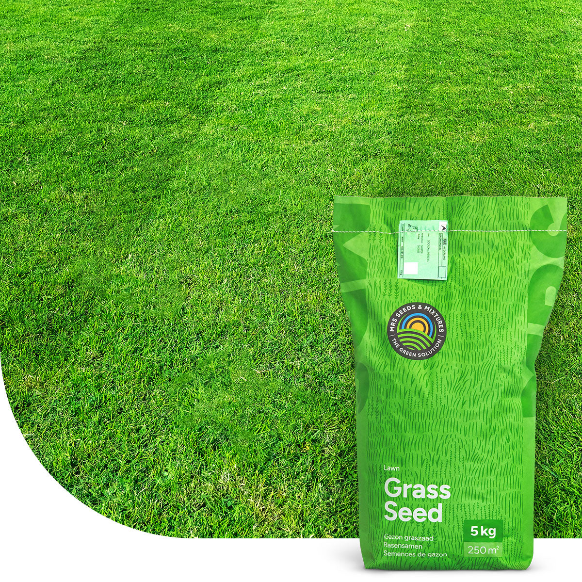 EasyMow – Semences de gazon | Peu d'entretien