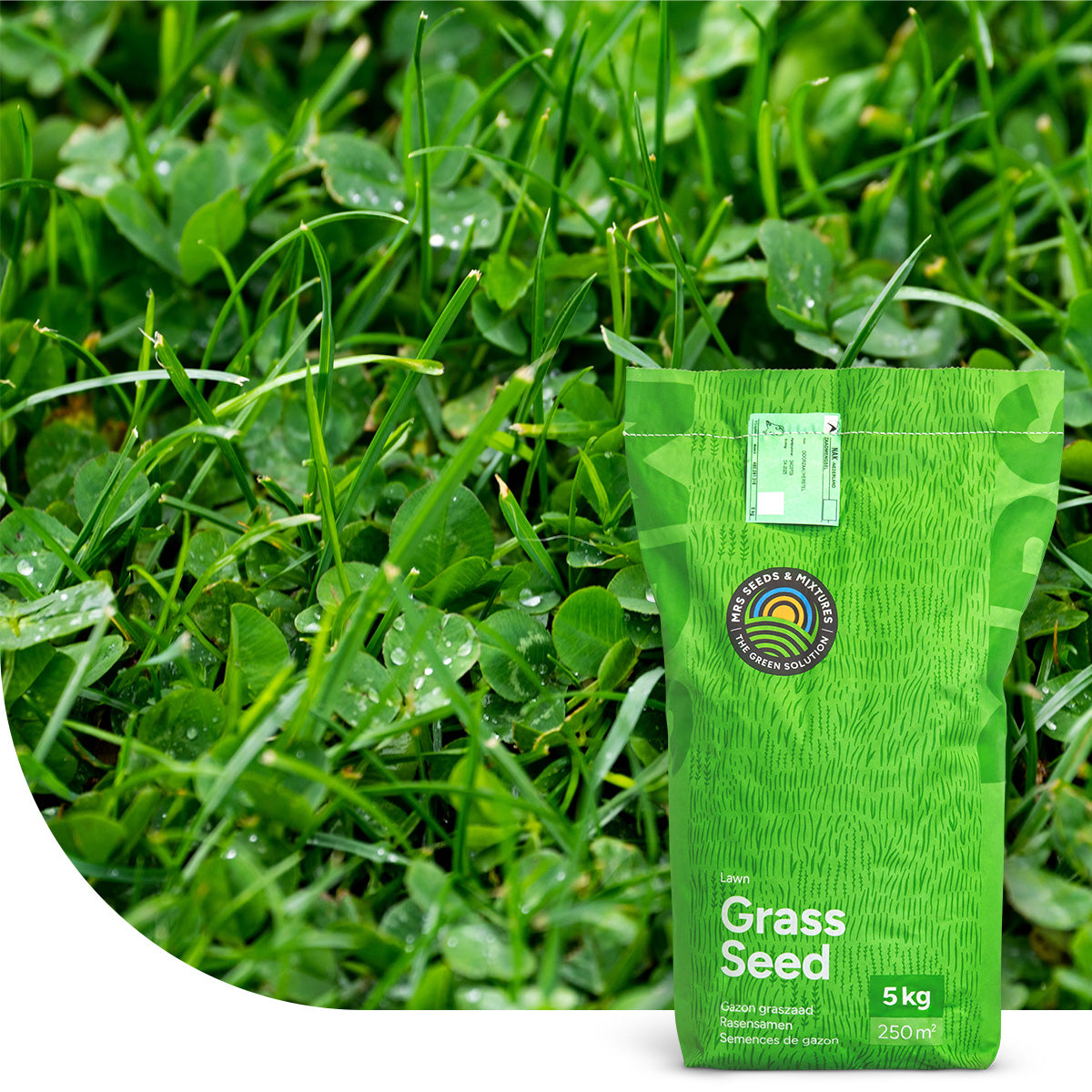 Clover Lawn – Semences de gazon avec micro-trèfle