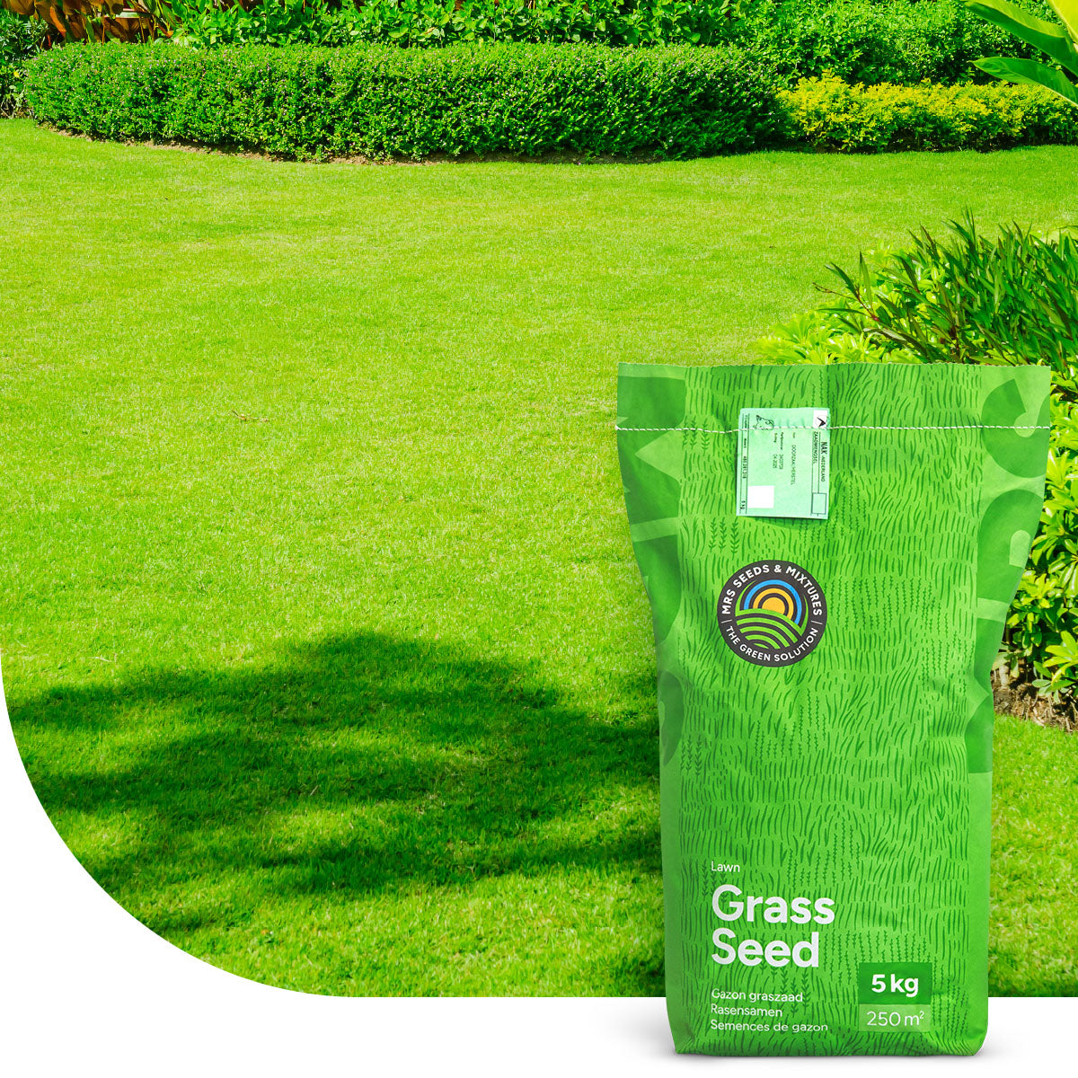 Green Perfection – Semences pour gazon d'ornement