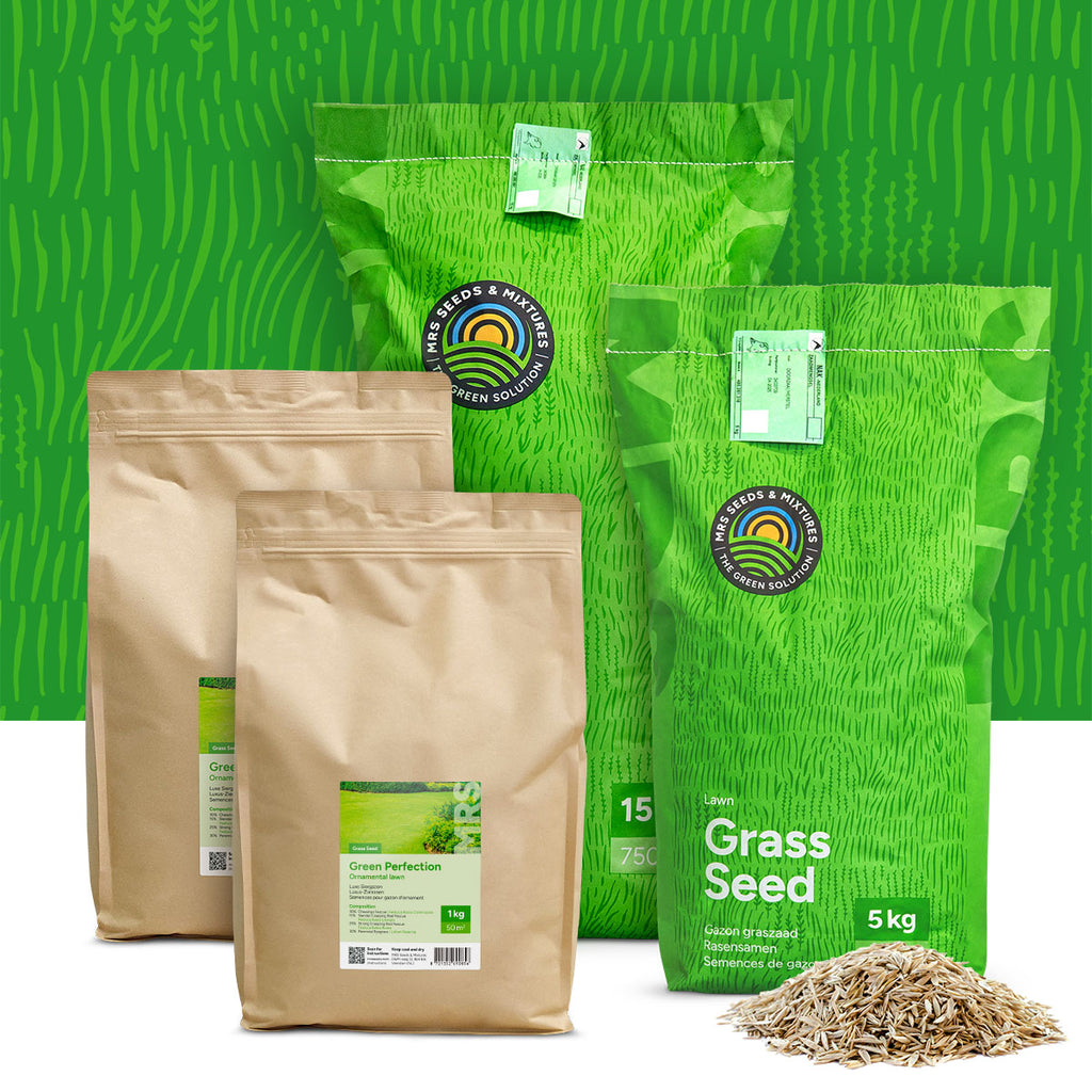 Green Perfection – Semences pour gazon d'ornement