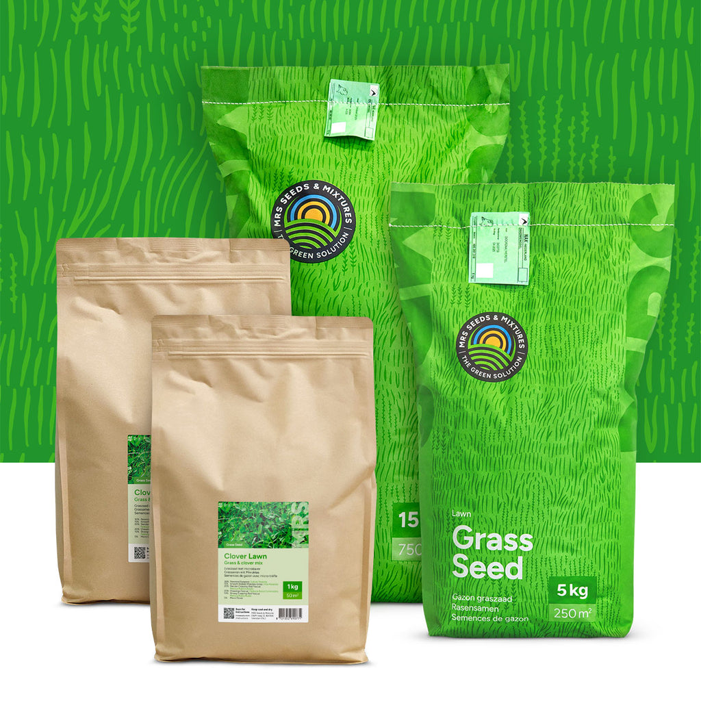 Clover Lawn – Semences de gazon avec micro-trèfle