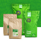 Clover Lawn – Semences de gazon avec micro-trèfle