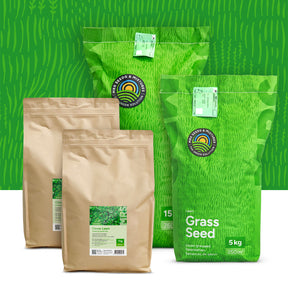 Clover Lawn – Semences de gazon avec micro-trèfle