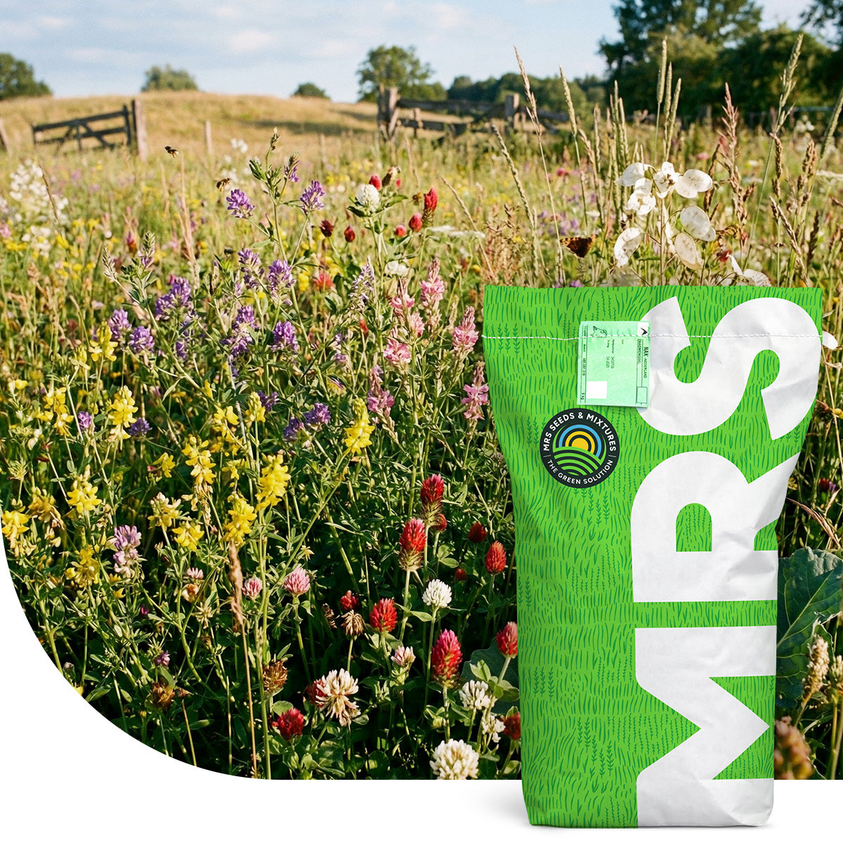 Mélange pour prairie sauvage