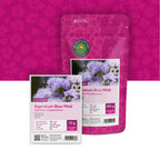 Agérate – Ageratum houstoniunum mix