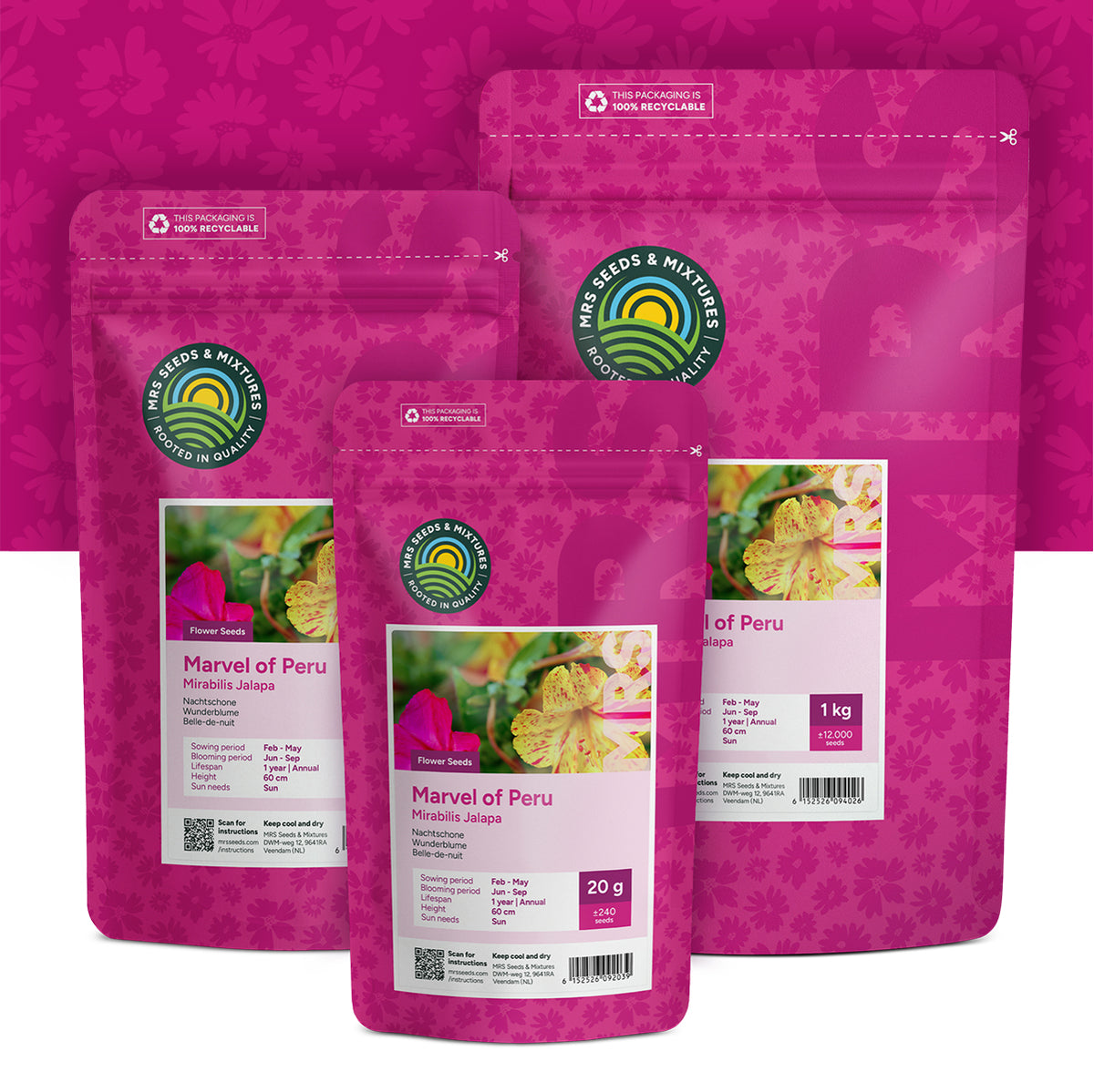 Belle-de-nuit mixte – Mirabilis jalapa