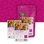 Pavot d’Orient – Papaver orientale