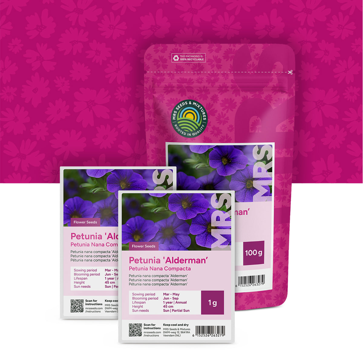 Pétunia nana compacta-Alderman