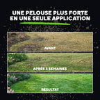 [fr]