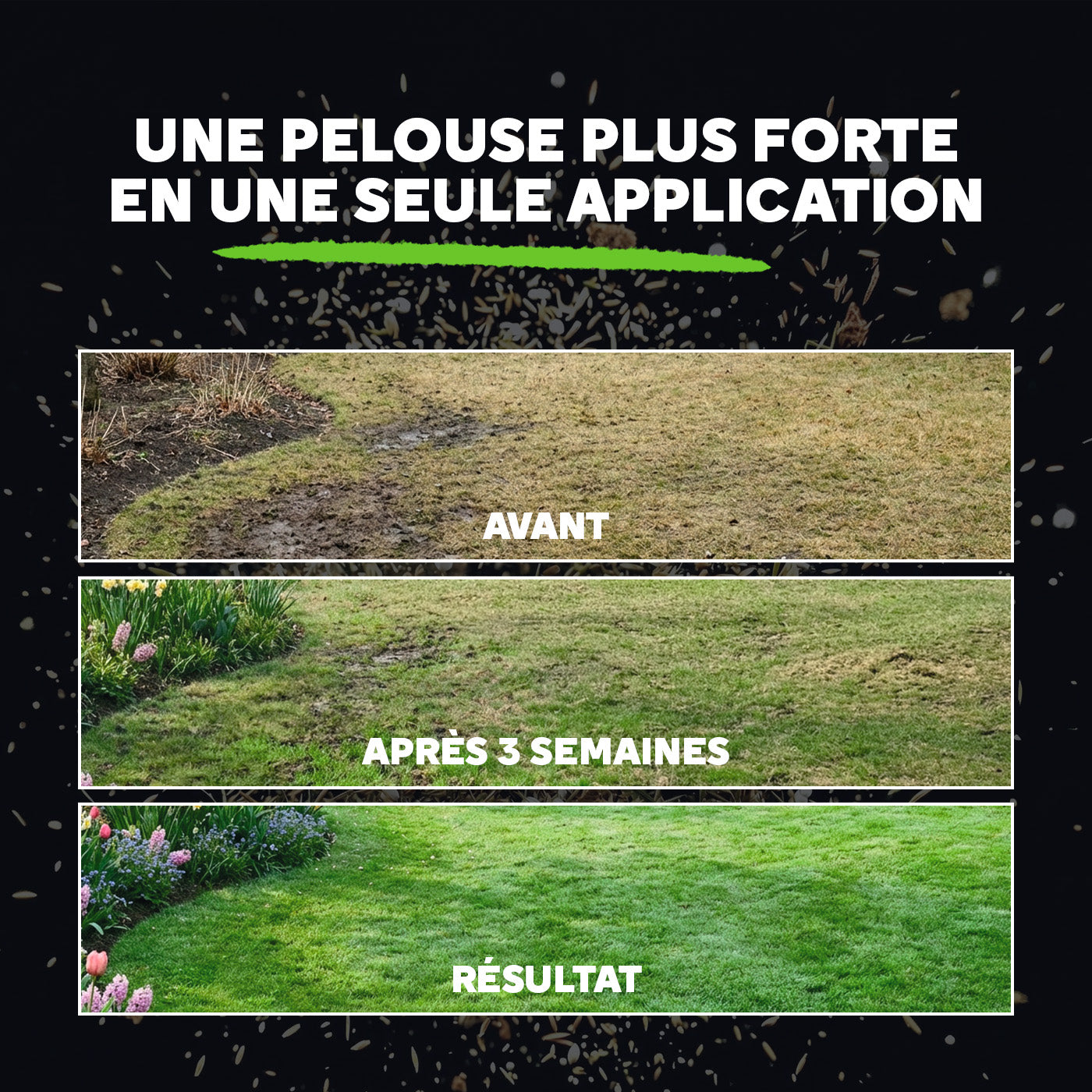 [fr]