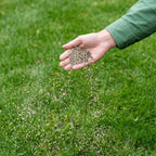 Power Lawn – Rénovateur de gazon tout-en-un