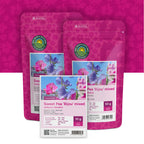 Pois de senteur 'Bijou' mixte – Lathyrus odoratus