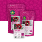 Pavot somnifère – Papaver Somniferum
