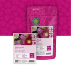 Alcea rosea 'Summer Carnival' – Alcea Rosea