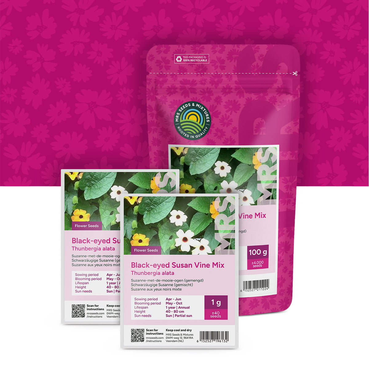Suzanne aux yeux noirs mixte – Thunbergia alata