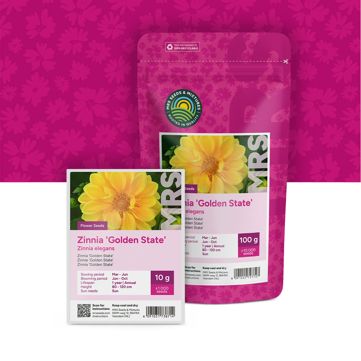 Zinnia violacea – Golden State