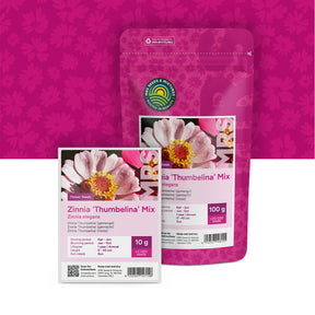 Zinnia Elegans 'Thumbelina' (mixte)