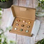 Blossombs Boîte cadeau 'Xmas' boules de graines - 9 pièces [fr]