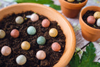 Blossombs Coffret cadeau petit boules de graines - 7 pièces [fr]