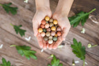 Boules de graines | Sac kraft