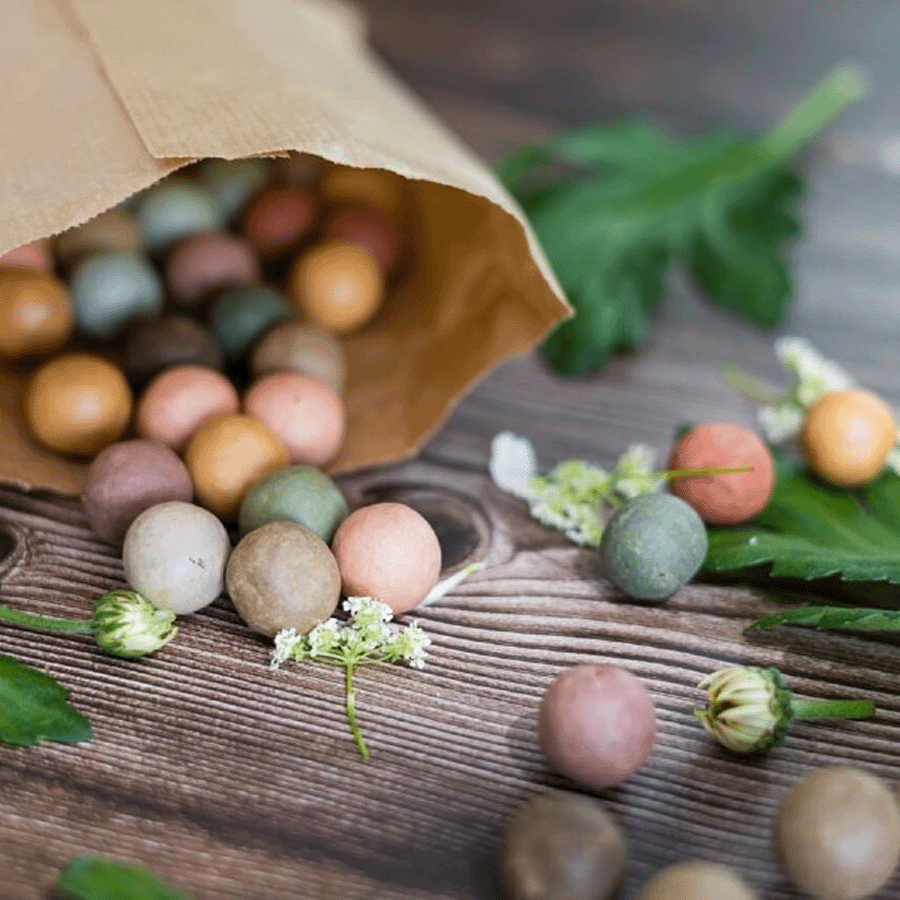Boules de graines | Sac kraft