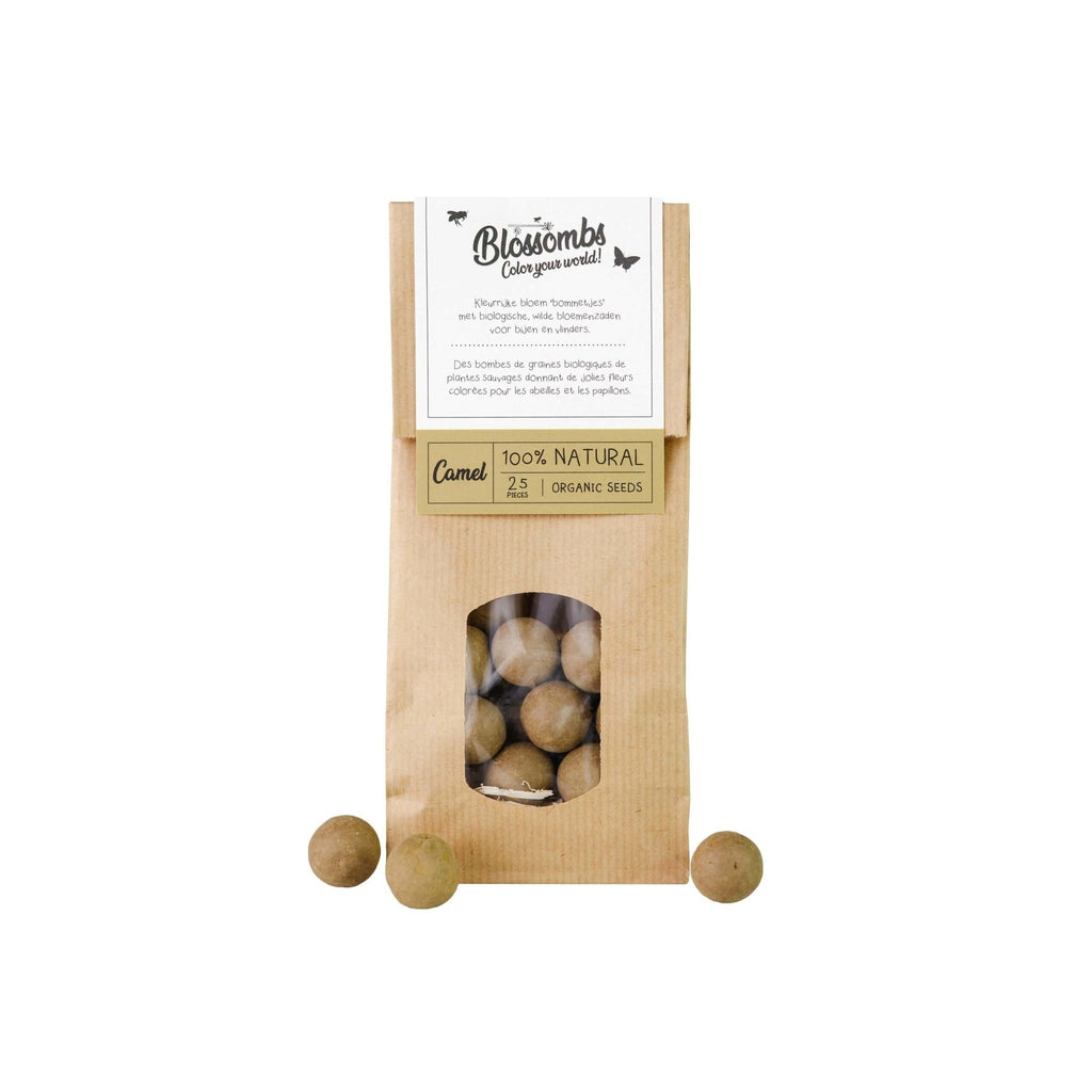 Boules de graines | Sac kraft